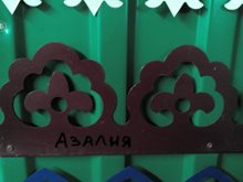 Узор Азалия
