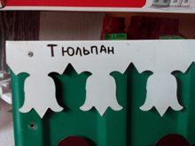 Узор Тюльпан